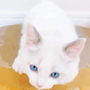 zoz〇zOz女人另类zoz0
